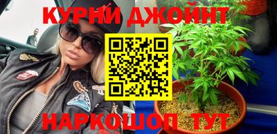 гашик Новозыбков