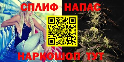 гашик Новозыбков